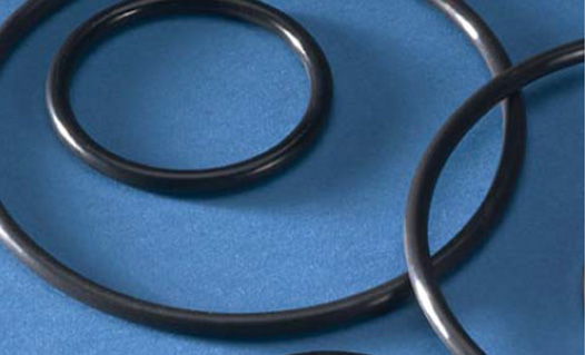 Elastomeric Seals - CHEMRAZ O Rings