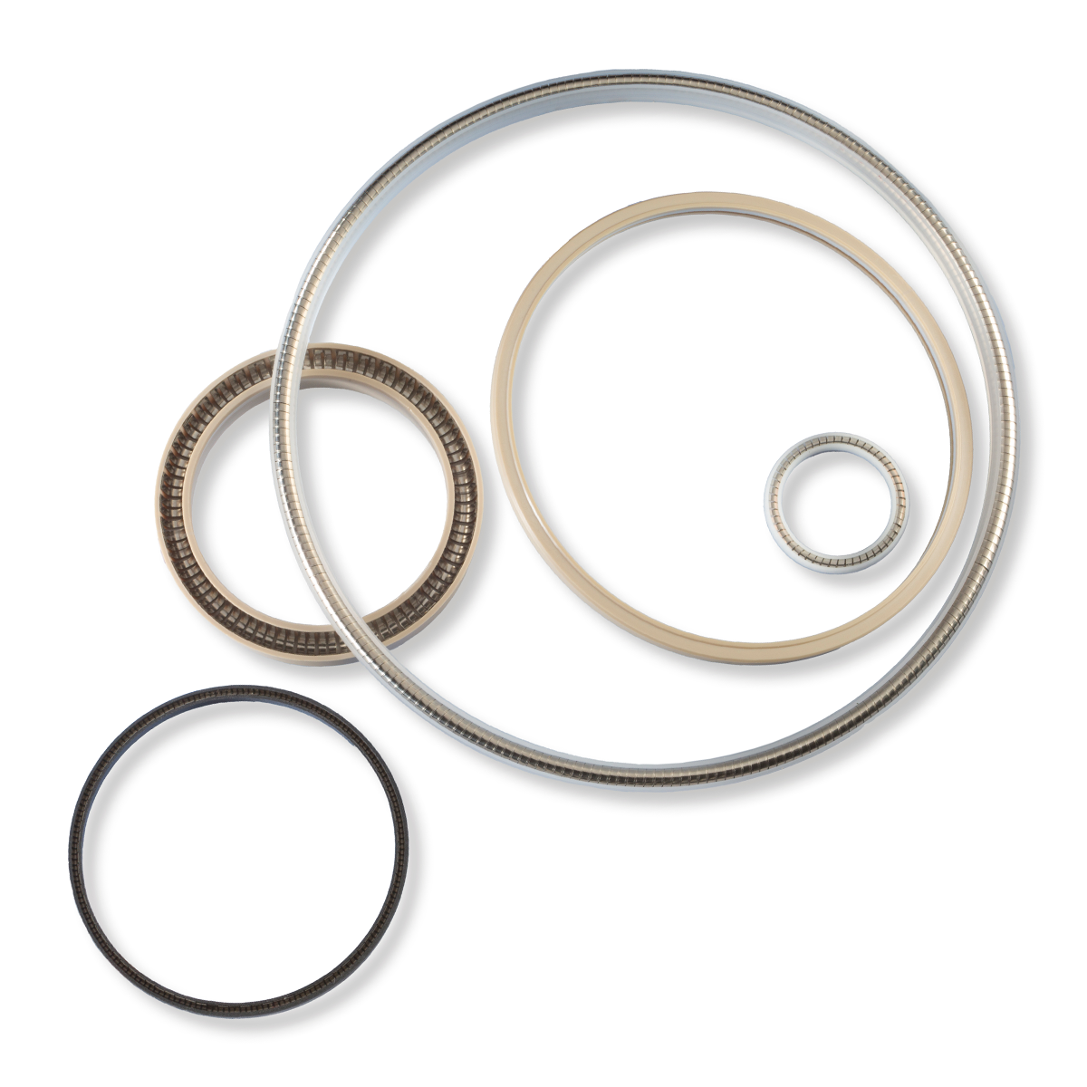 Metal Spring Energized (MSE®) Seals